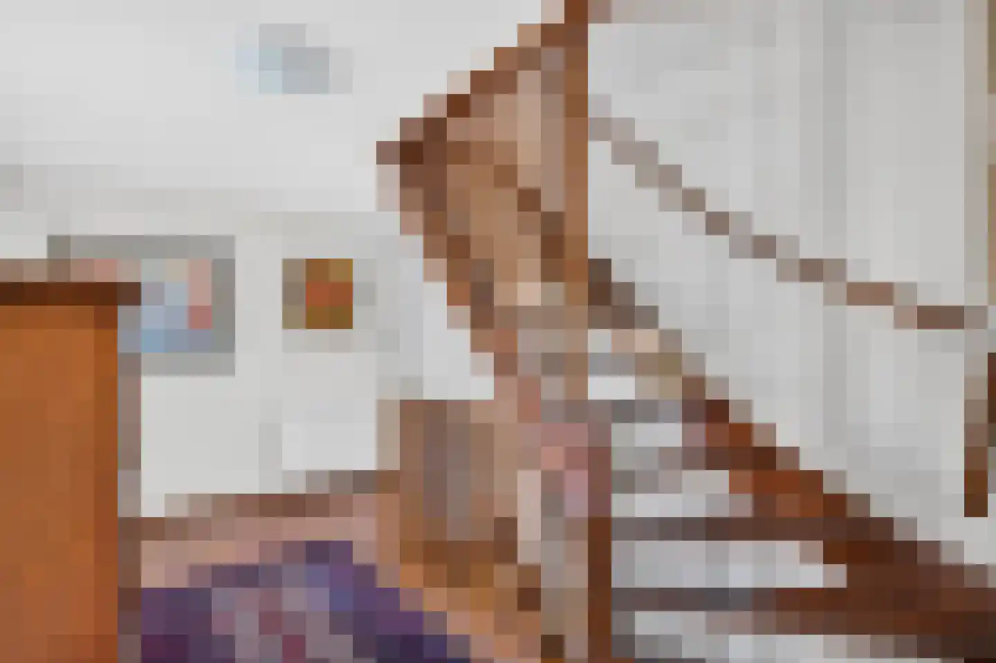 Willem de Bruynstraat 10 Eindhoven thumbnail 33