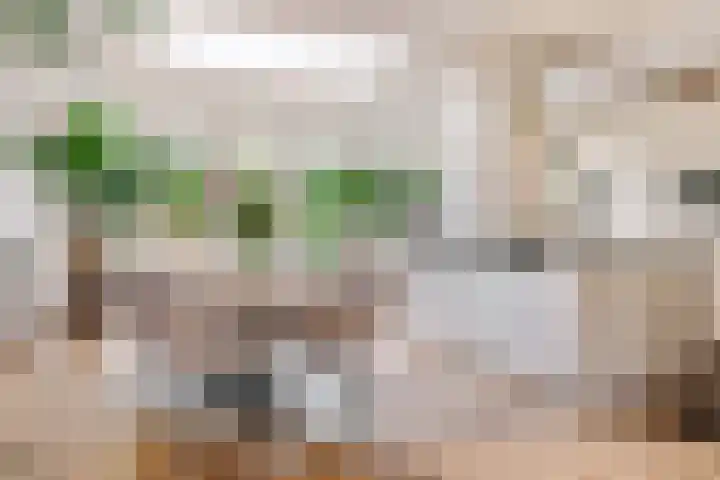 Willem de Bruynstraat 5 Eindhoven thumbnail 10