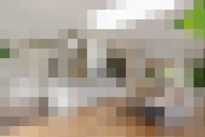 Willem de Bruynstraat 5 Eindhoven thumbnail 11
