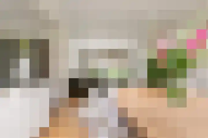 Willem de Bruynstraat 5 Eindhoven thumbnail 12