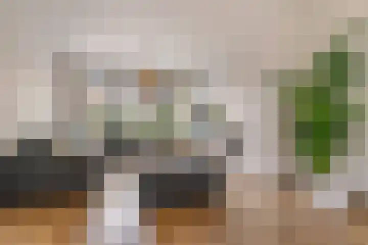 Willem de Bruynstraat 5 Eindhoven thumbnail 15