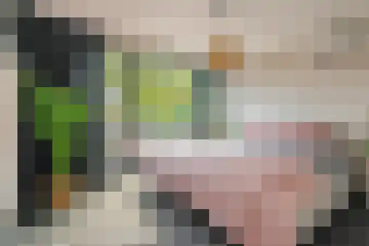 Willem de Bruynstraat 5 Eindhoven thumbnail 19