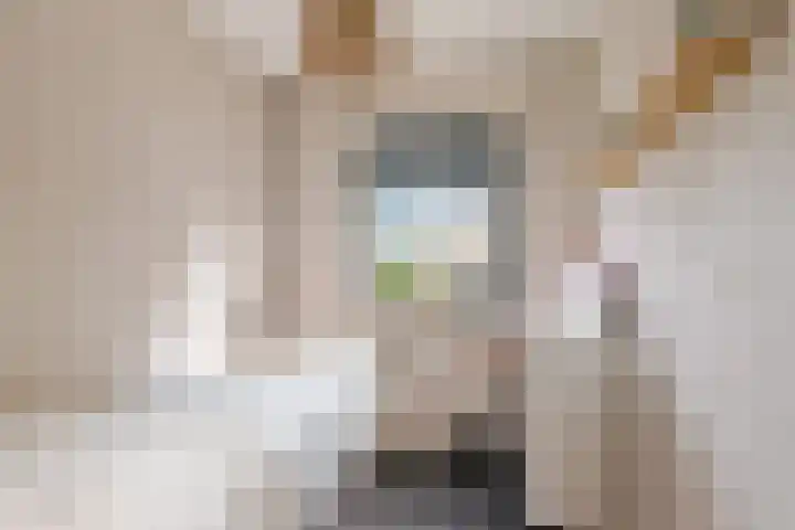Willem de Bruynstraat 5 Eindhoven thumbnail 21