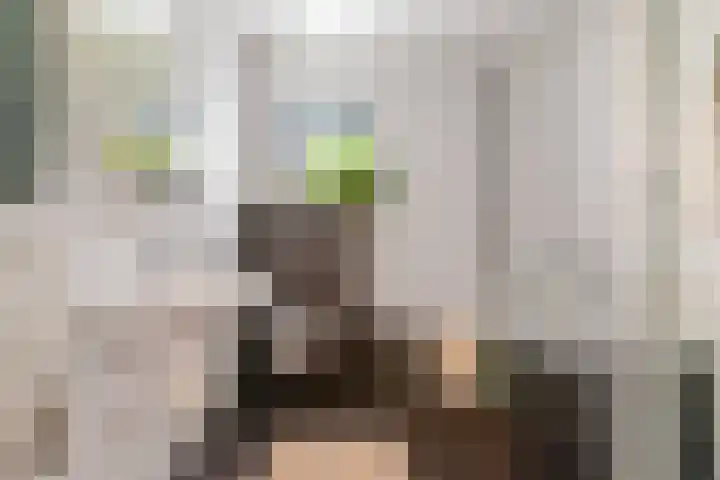 Willem de Bruynstraat 5 Eindhoven thumbnail 23