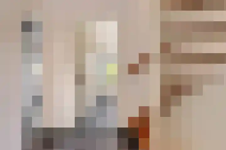 Willem de Bruynstraat 5 Eindhoven thumbnail 25