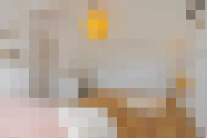Willem de Bruynstraat 5 Eindhoven thumbnail 27