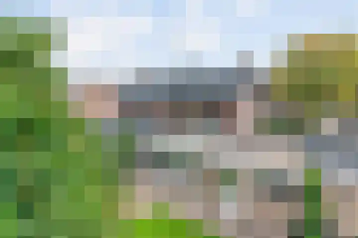 Willem de Bruynstraat 5 Eindhoven thumbnail 30
