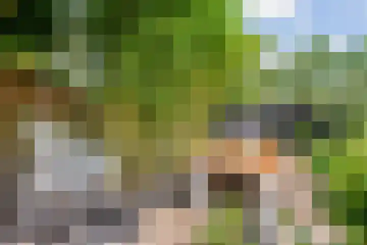 Willem de Bruynstraat 5 Eindhoven thumbnail 35