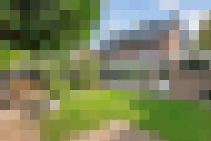 Willem de Bruynstraat 5 Eindhoven thumbnail 4