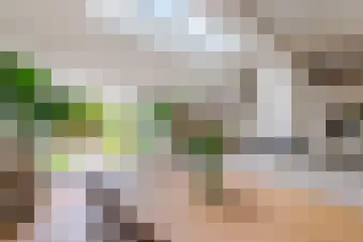 Willem de Bruynstraat 5 Eindhoven thumbnail 7