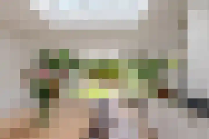 Willem de Bruynstraat 5 Eindhoven thumbnail 8
