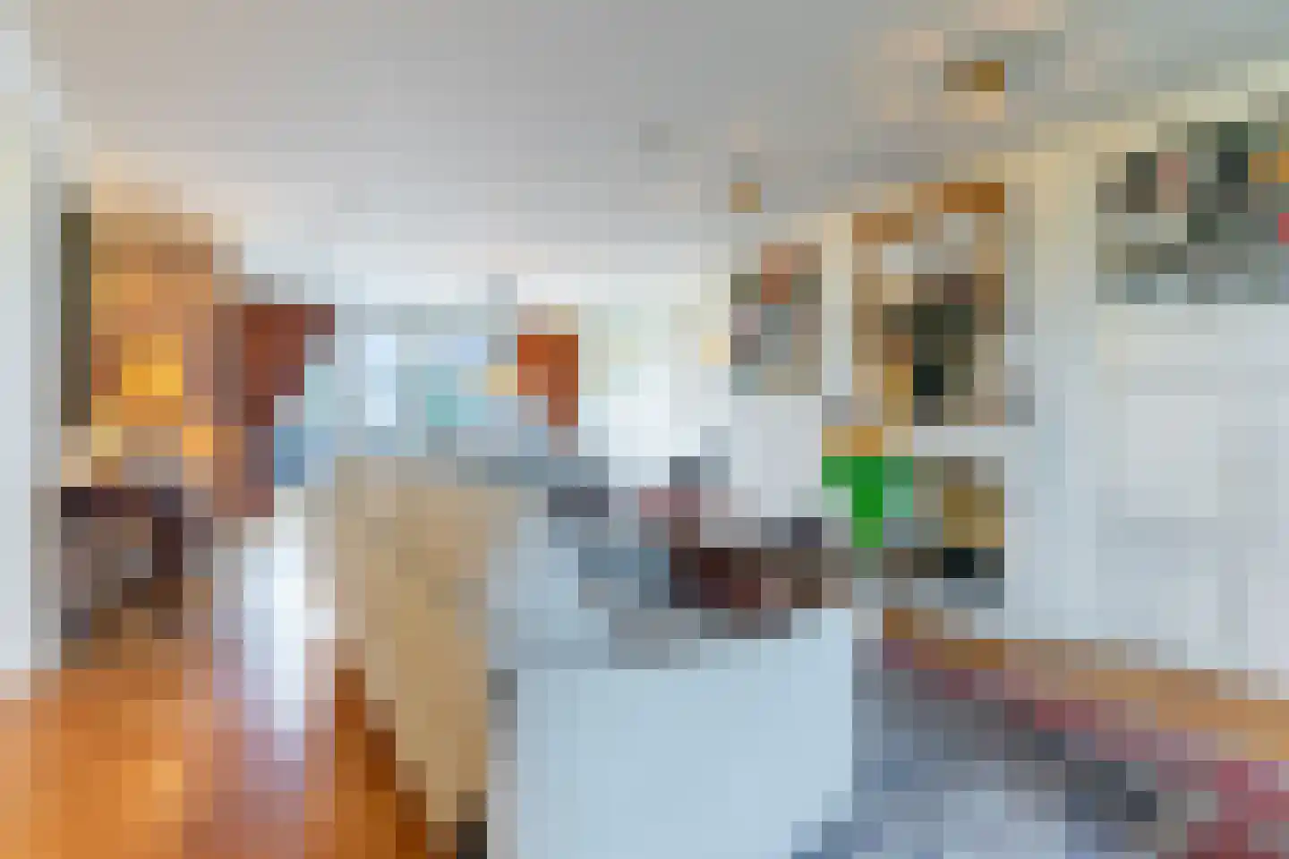 Willem de Bruynstraat 86 Eindhoven thumbnail 19