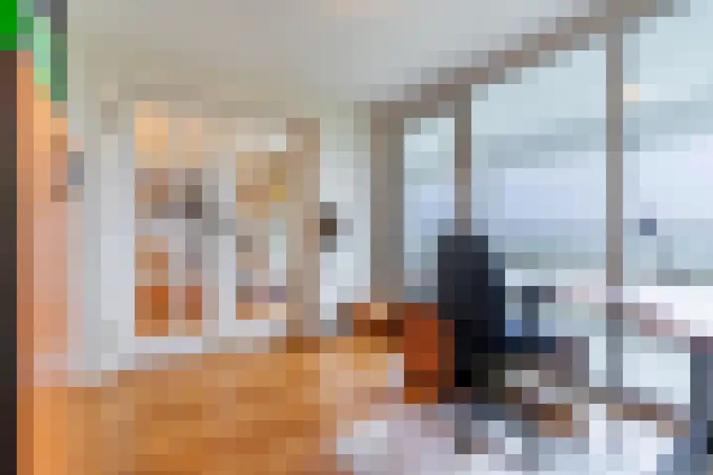 Willem de Bruynstraat 86 Eindhoven thumbnail 33