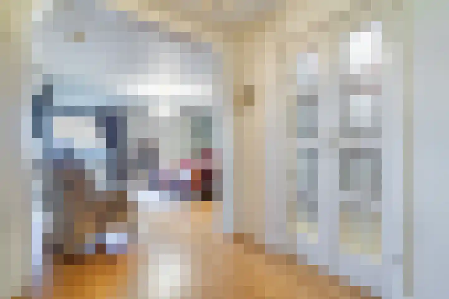 Willem de Bruynstraat 86 Eindhoven thumbnail 35