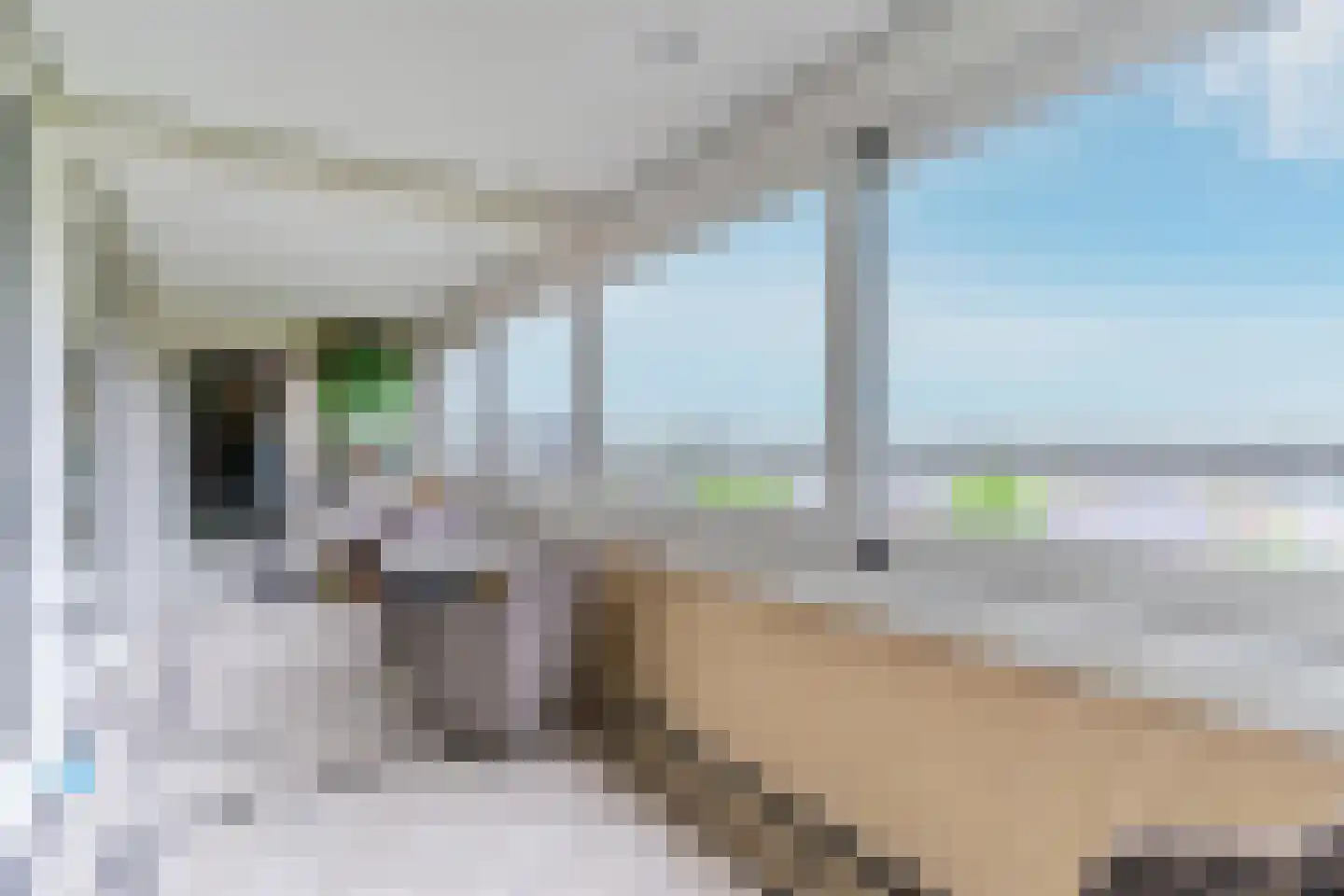 Willem de Bruynstraat 86 Eindhoven thumbnail 5