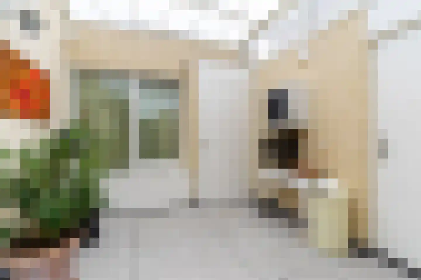 Willem de Bruynstraat 86 Eindhoven thumbnail 54