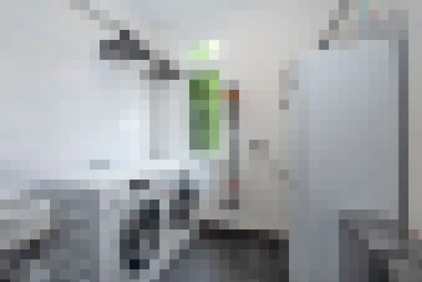 Willem de Clercqstraat 15 Almelo thumbnail 21