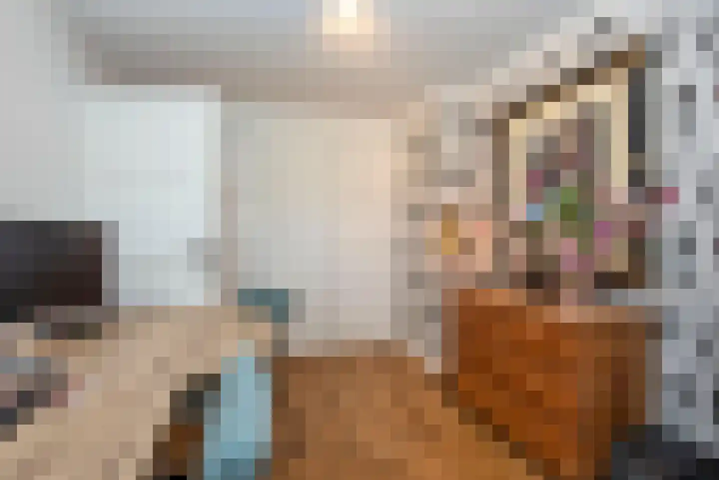 Willem de Clercqstraat 15 Almelo thumbnail 27
