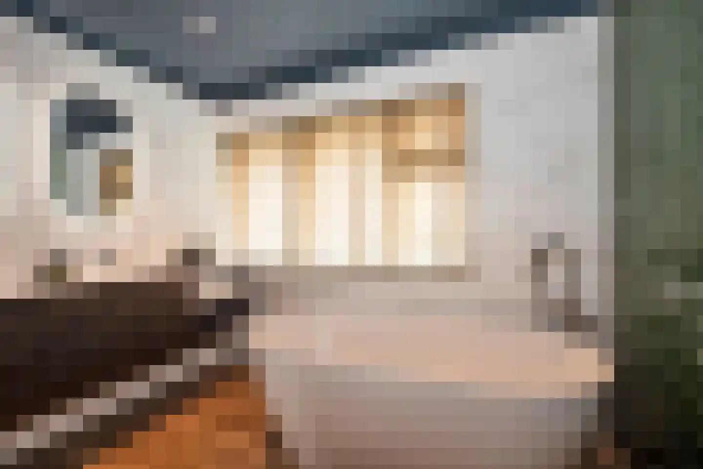 Willem de Clercqstraat 15 Almelo thumbnail 29