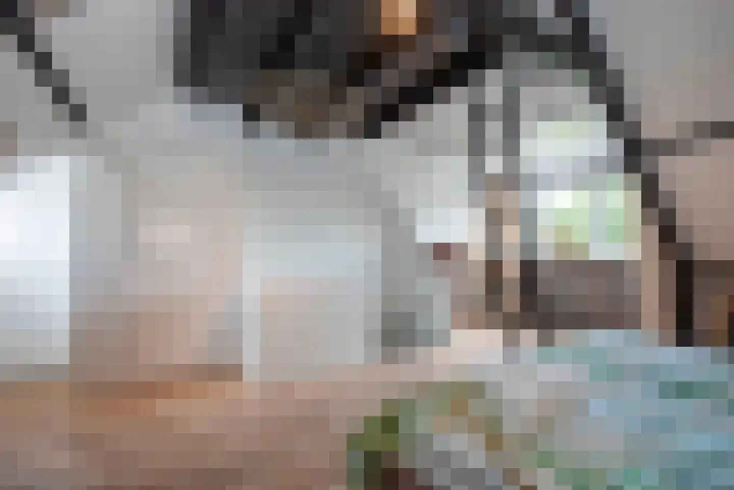 Willem de Clercqstraat 15 Almelo thumbnail 33