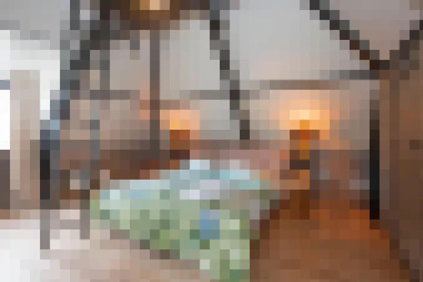 Willem de Clercqstraat 15 Almelo thumbnail 34