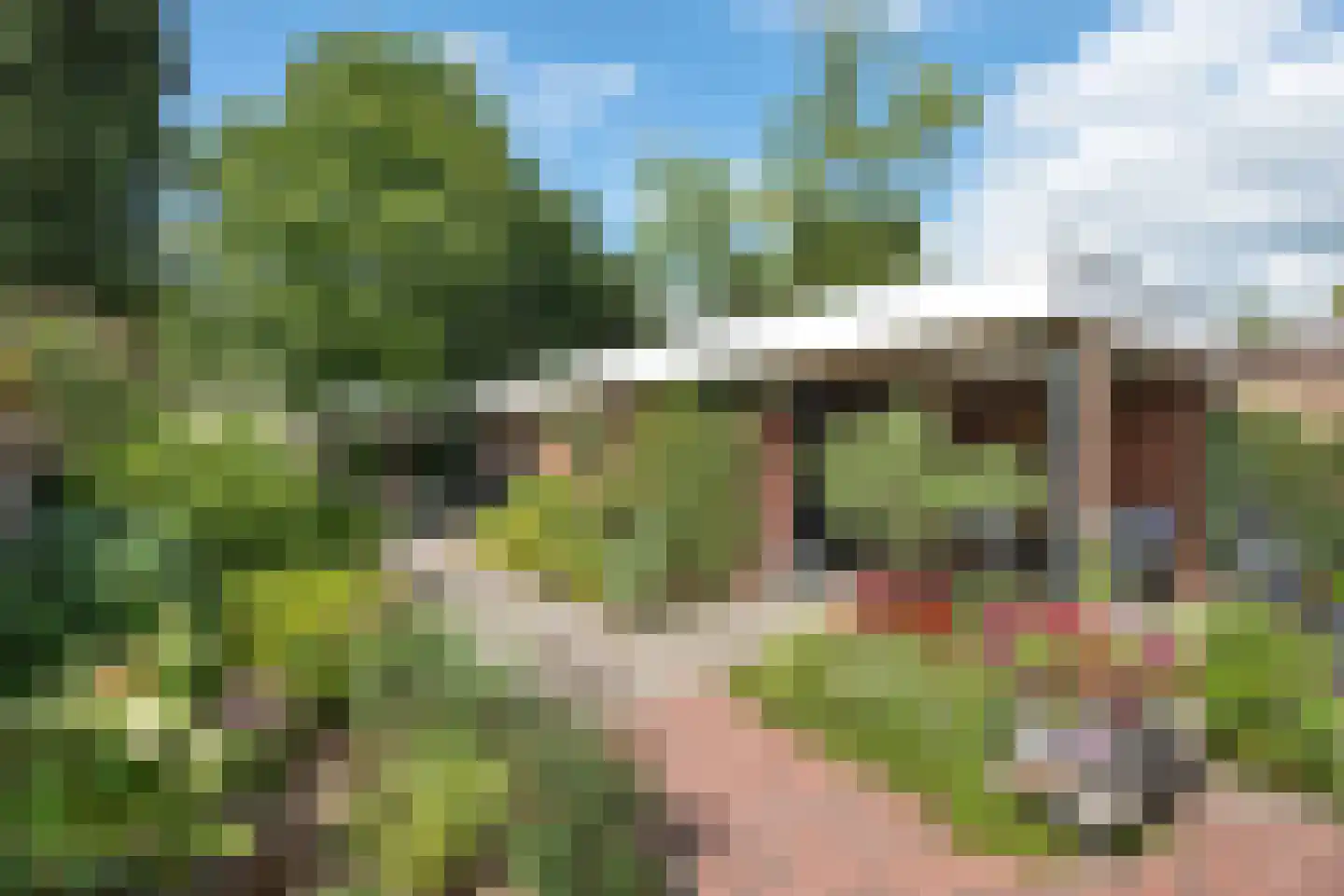 Willem de Clercqstraat 15 Almelo thumbnail 37