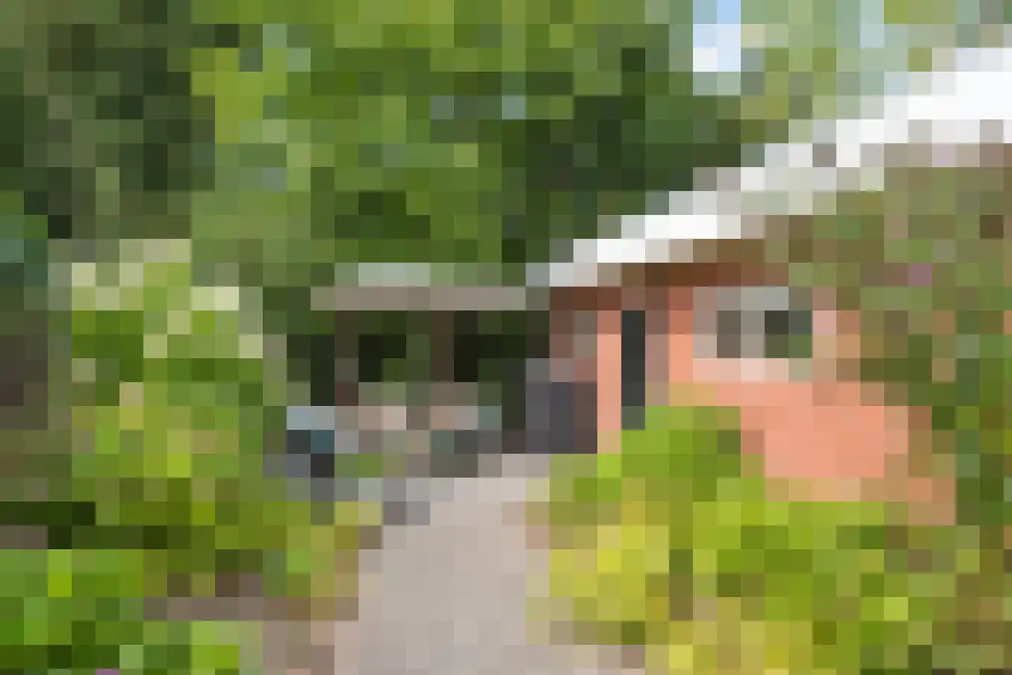 Willem de Clercqstraat 15 Almelo thumbnail 38