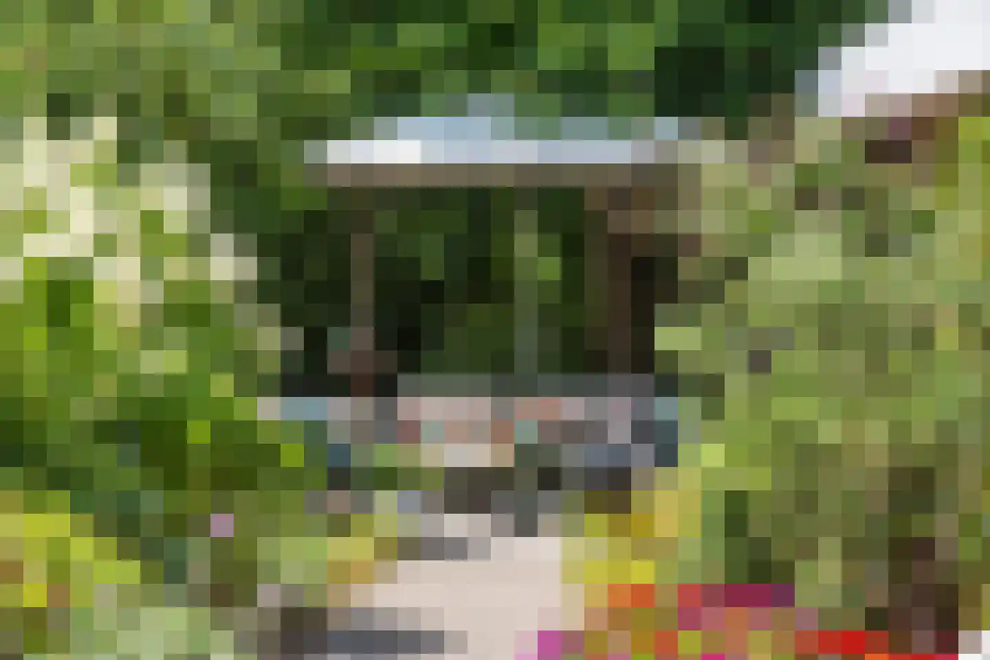 Willem de Clercqstraat 15 Almelo thumbnail 39
