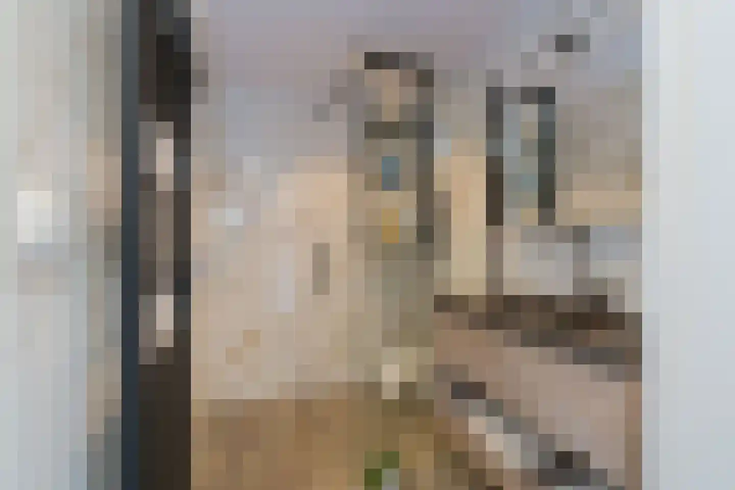 Willem de Clercqstraat 25 Almelo thumbnail 14