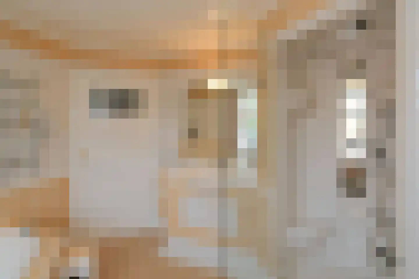 Willem de Clercqstraat 25 Almelo thumbnail 23
