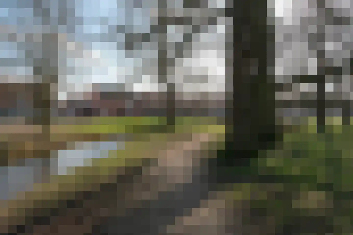 Willem de Clercqstraat 25 Almelo thumbnail 33