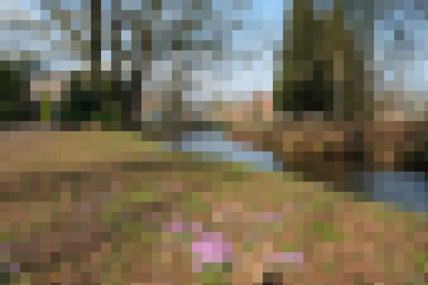 Willem de Clercqstraat 25 Almelo thumbnail 34