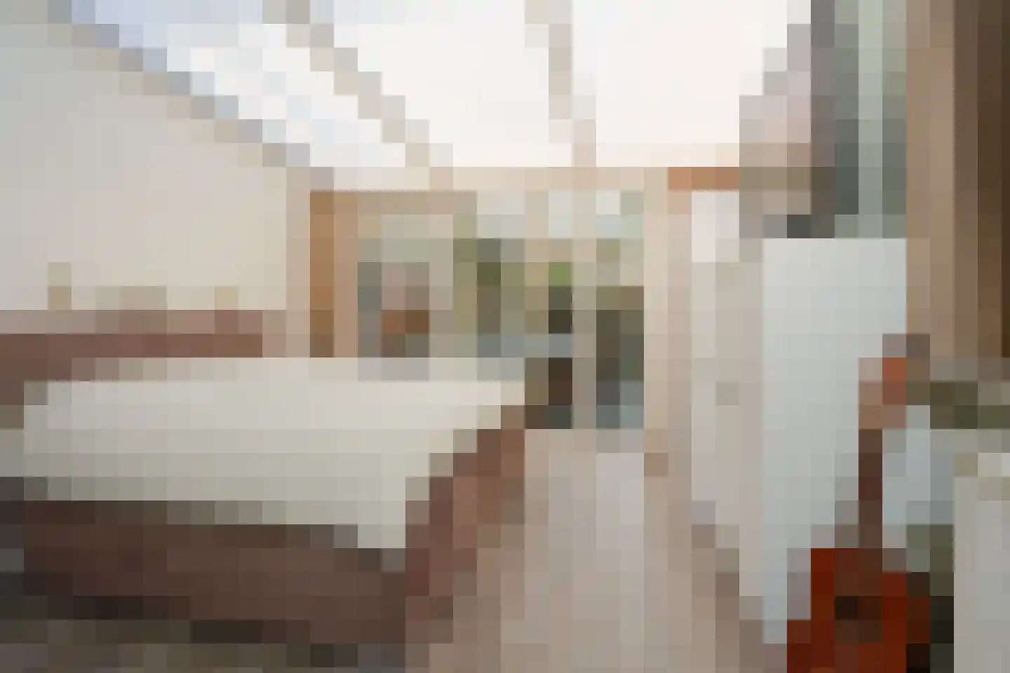 Willem de Clercqstraat 25 Almelo thumbnail 8
