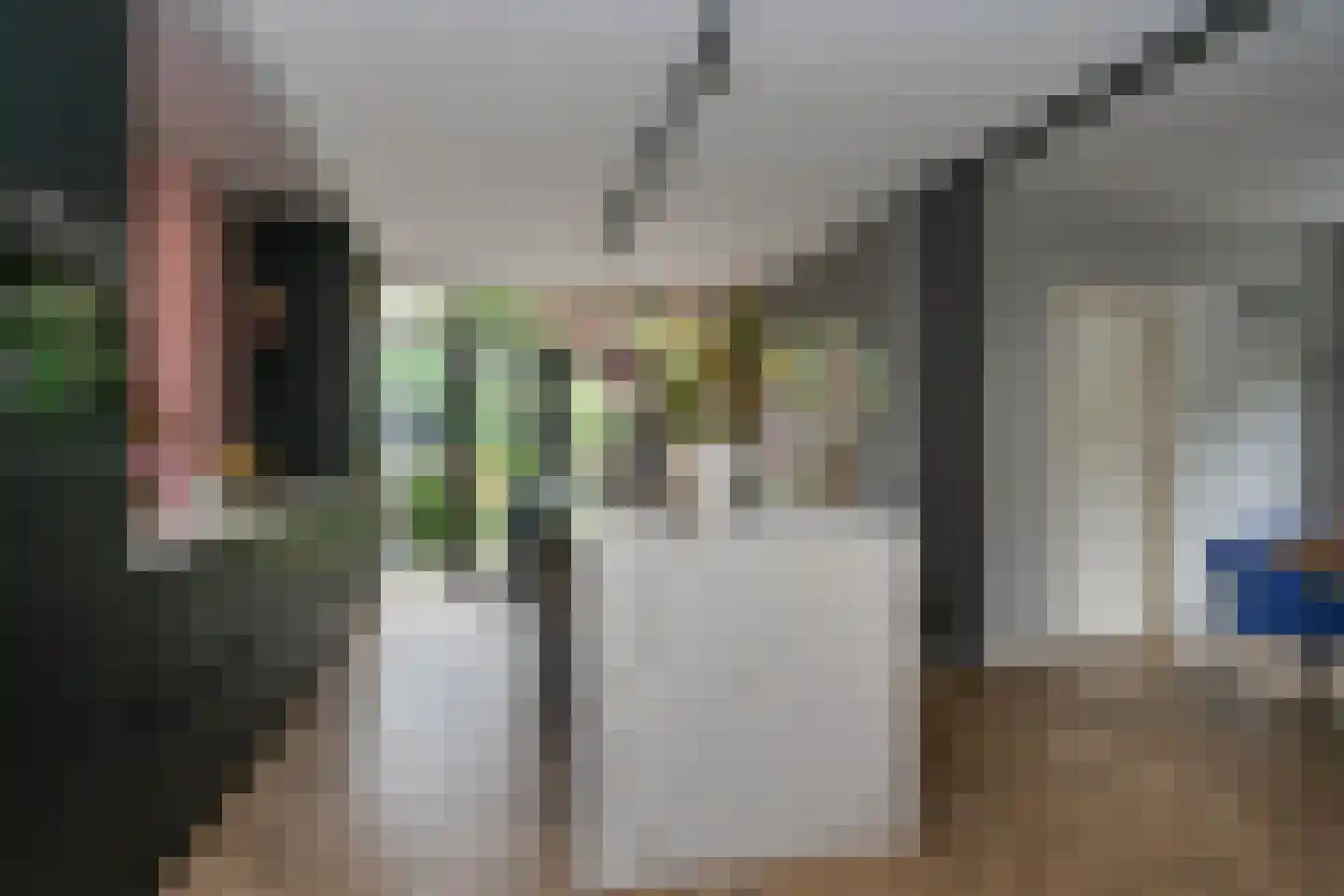 Willem de Clercqstraat 3 Almelo thumbnail 10