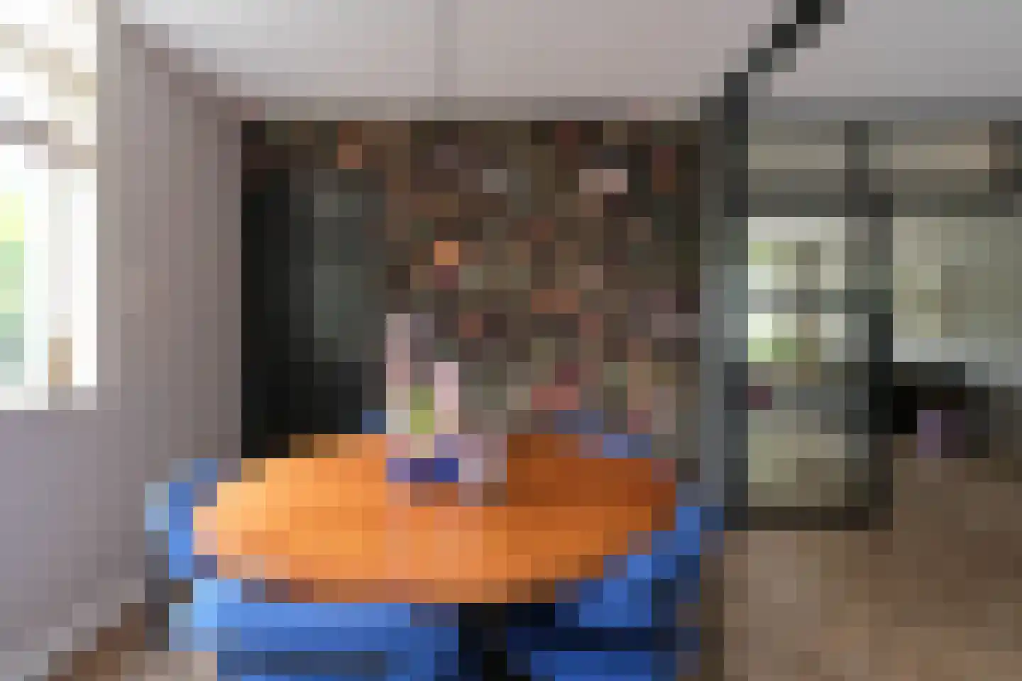 Willem de Clercqstraat 3 Almelo thumbnail 11