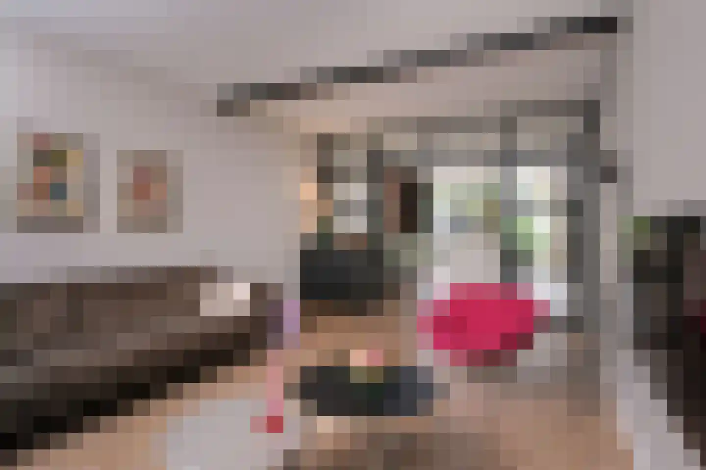 Willem de Clercqstraat 3 Almelo thumbnail 14
