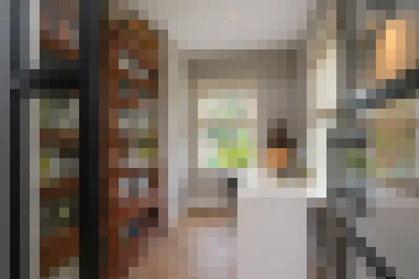 Willem de Clercqstraat 3 Almelo thumbnail 17