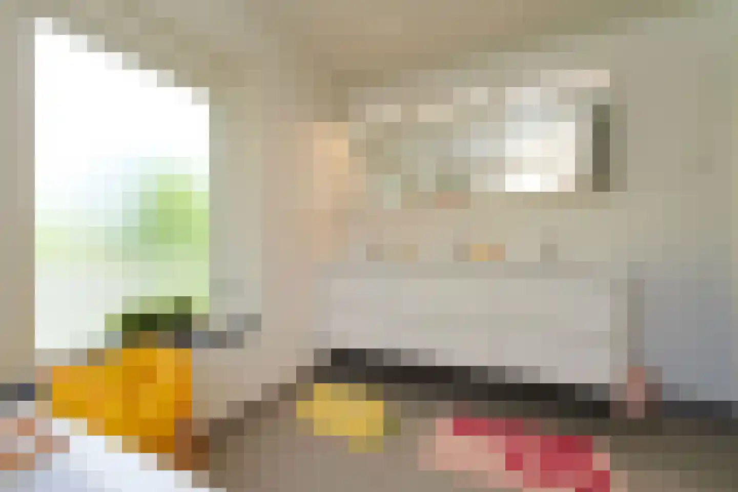 Willem de Clercqstraat 3 Almelo thumbnail 28