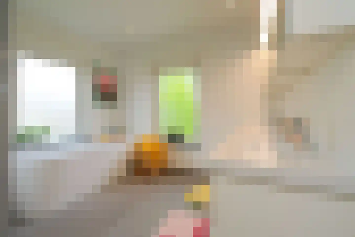Willem de Clercqstraat 3 Almelo thumbnail 29