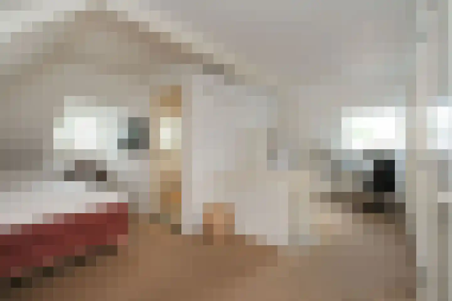 Willem de Clercqstraat 3 Almelo thumbnail 30