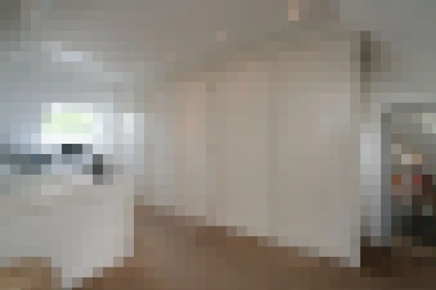 Willem de Clercqstraat 3 Almelo thumbnail 34
