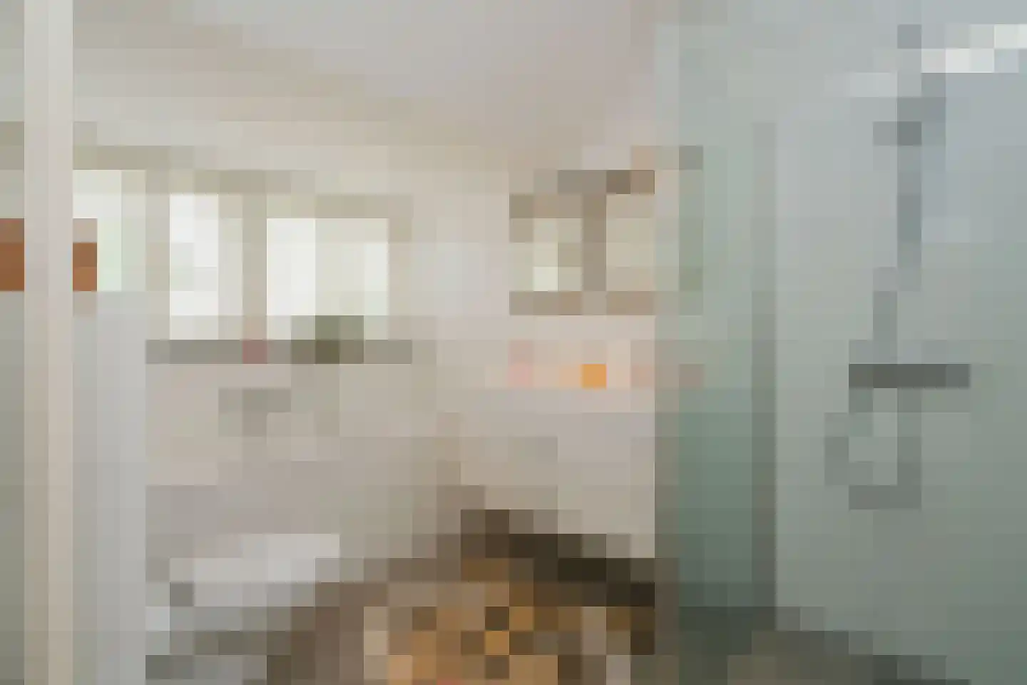 Willem de Clercqstraat 3 Almelo thumbnail 35