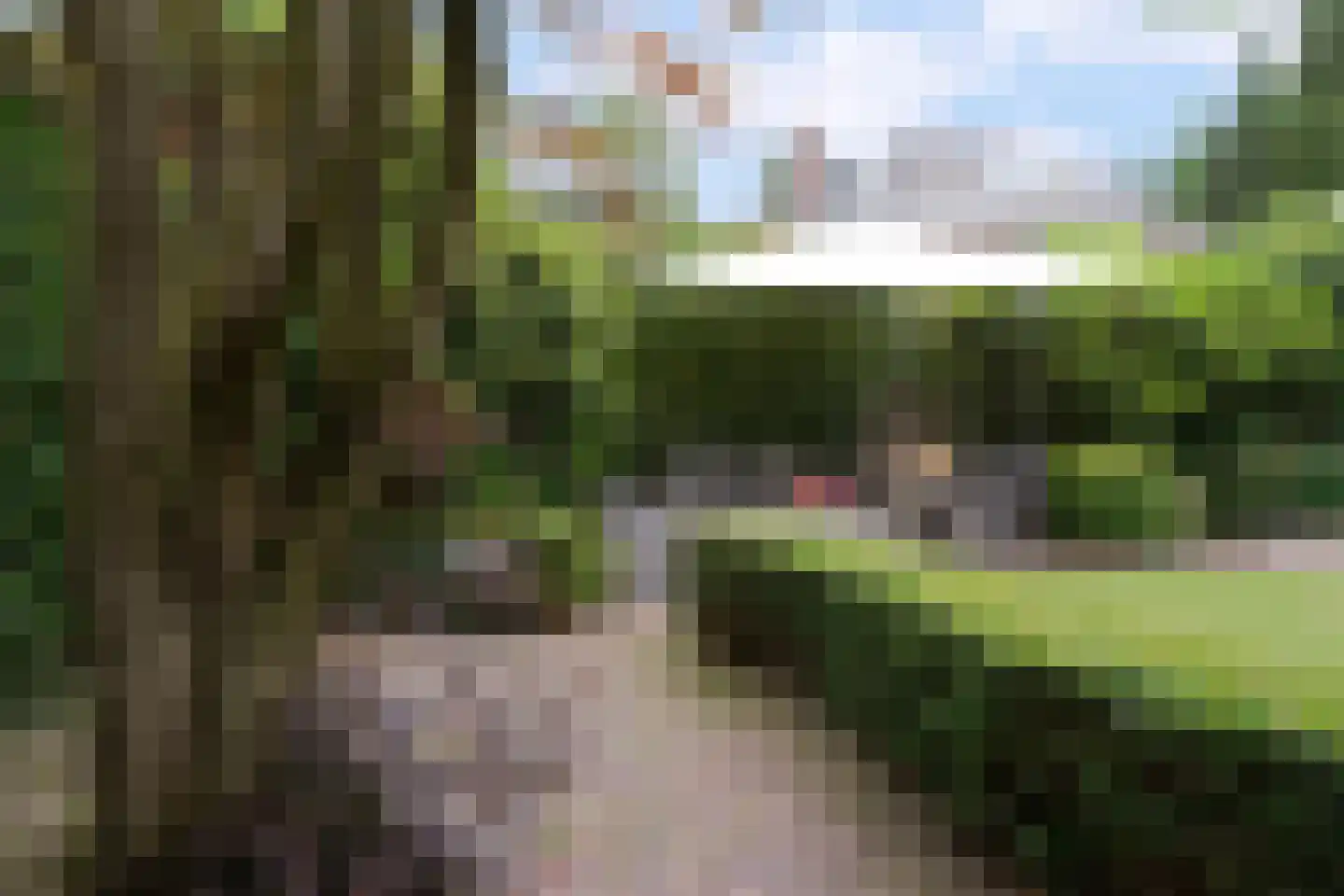 Willem de Clercqstraat 3 Almelo thumbnail 38