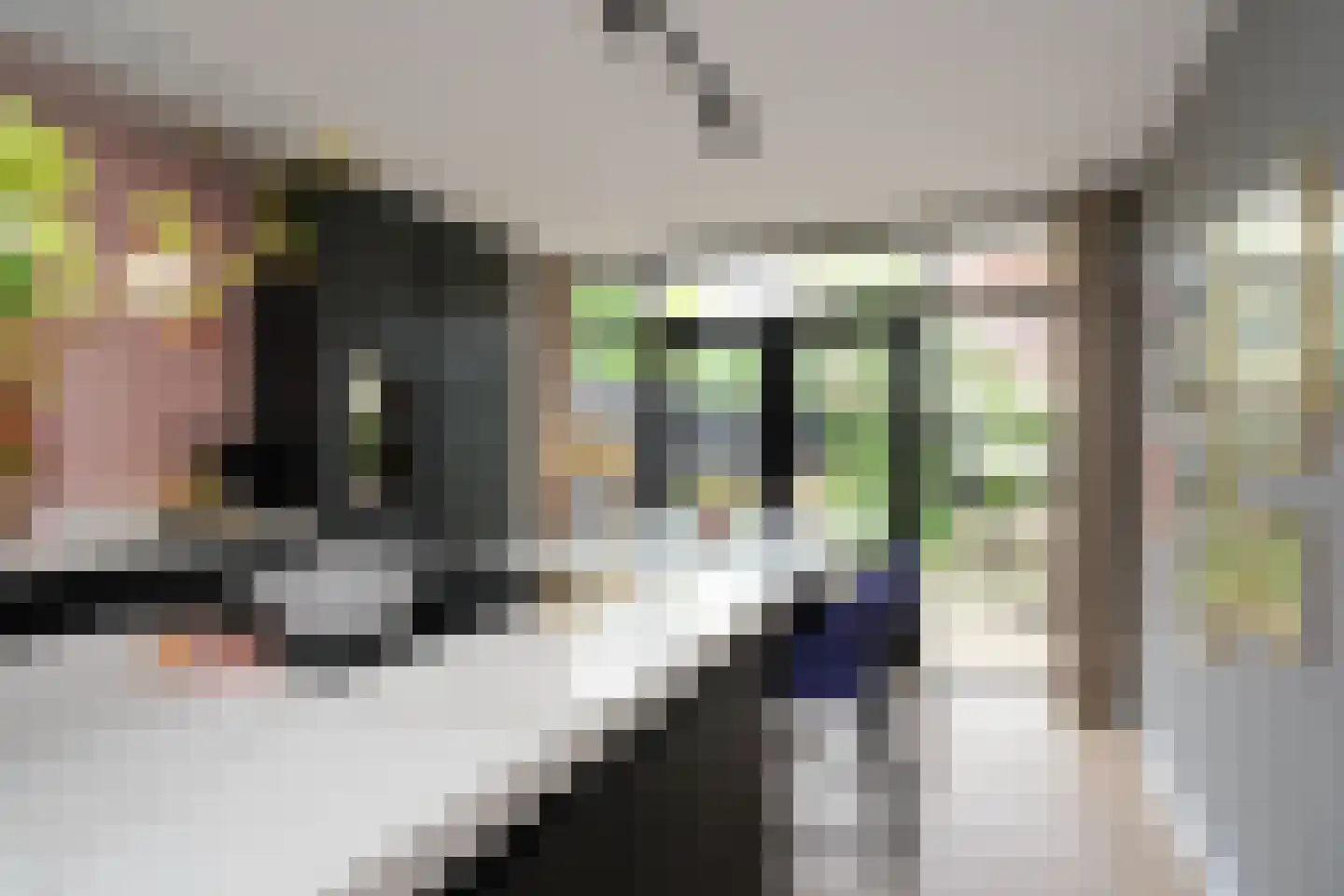 Willem de Clercqstraat 3 Almelo thumbnail 9