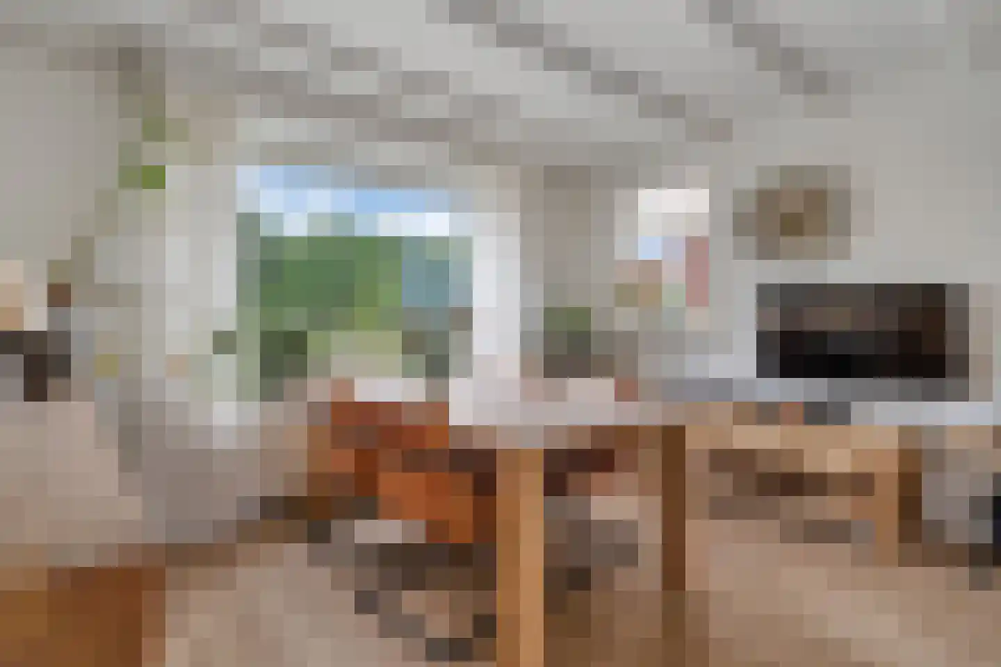 Willem de Clercqstraat 44 Nijverdal thumbnail 4