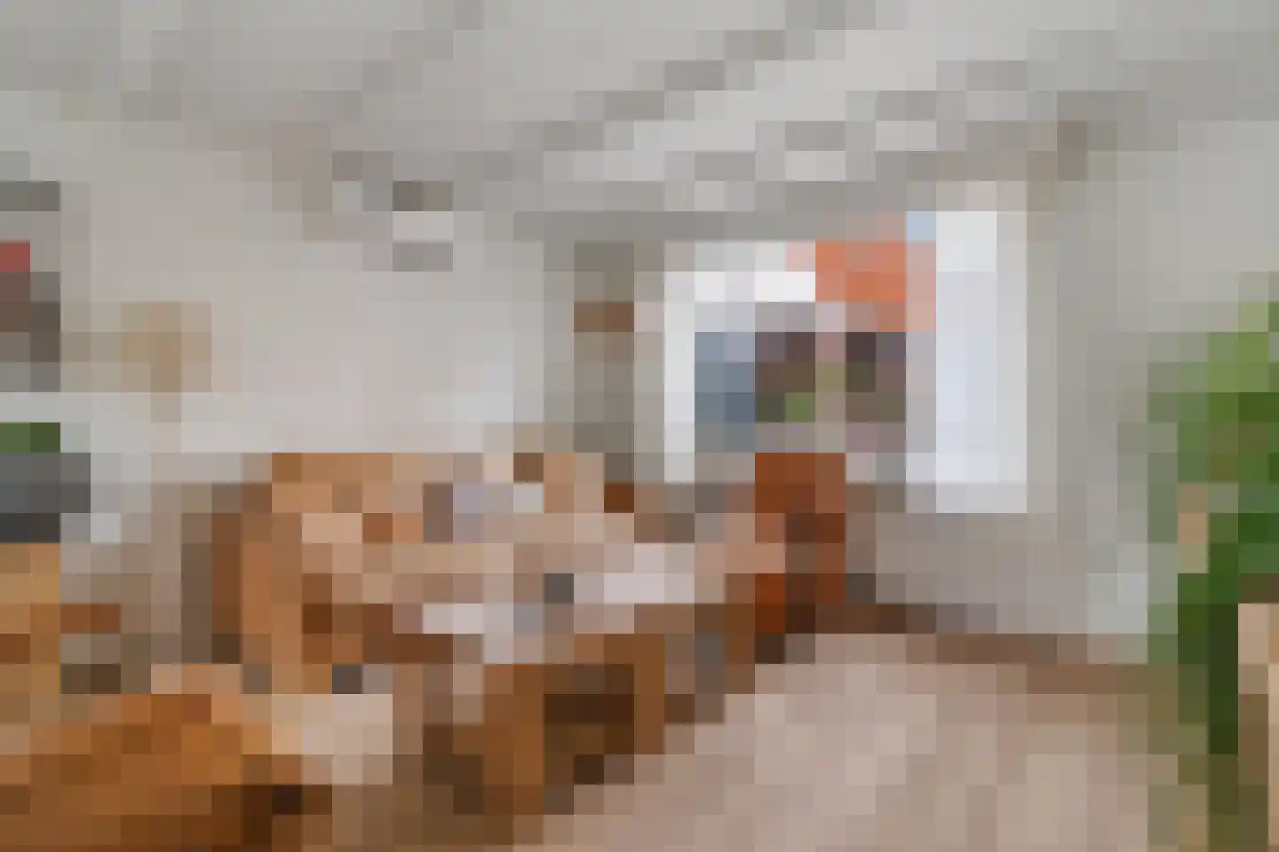 Willem de Clercqstraat 44 Nijverdal thumbnail 5
