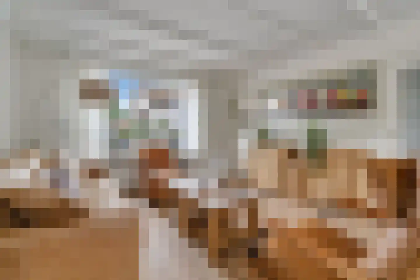 Willem de Clercqstraat 44 Nijverdal thumbnail 6