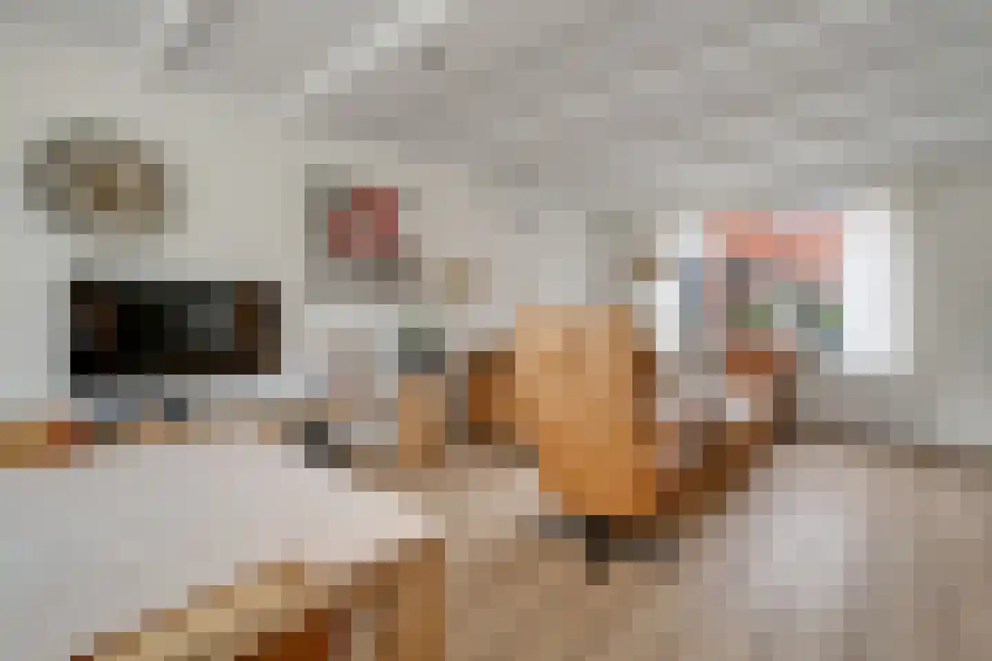 Willem de Clercqstraat 44 Nijverdal thumbnail 9