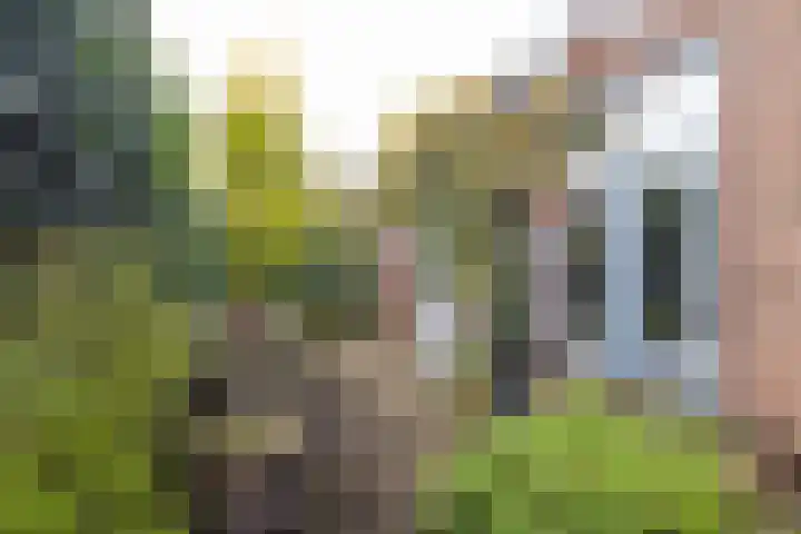 Willem de Clercqstraat 45 Hengelo thumbnail 33