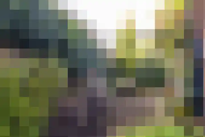 Willem de Clercqstraat 45 Hengelo thumbnail 34